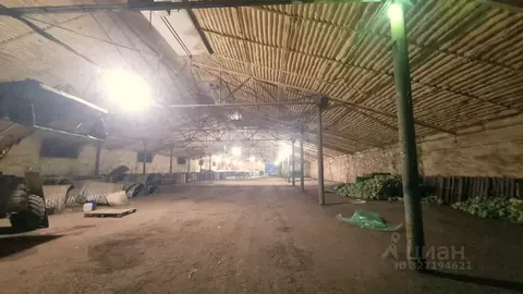 Склад в Волгоградская область, Городищенский район, Новорогачинское ...