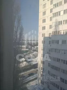 3-к кв. Воронежская область, Воронеж пер. Парашютистов, 10 (56.0 м)