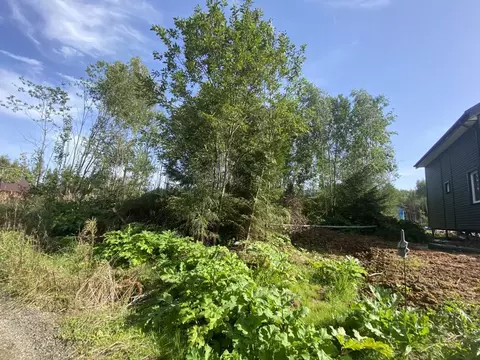 Участок в Московская область, Клин городской округ, д. Давыдково  (6.0 ...