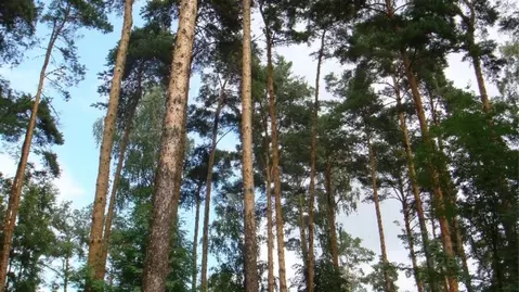 Участок в Московская область, Одинцовский городской округ, Тайм кп  ...