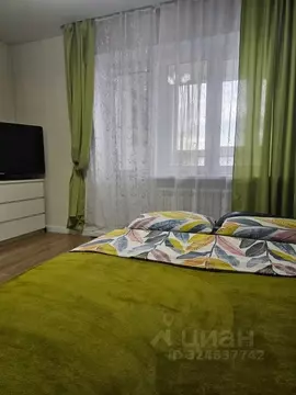 Студия Московская область, Ногинск Богородский городской округ, ул. ...