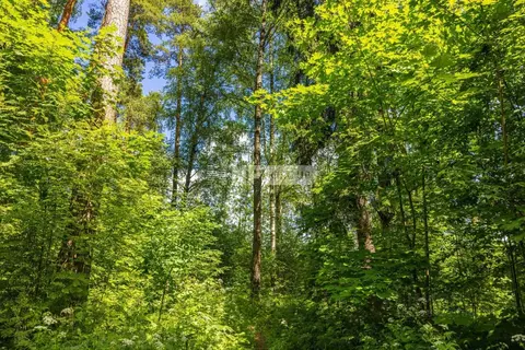 Участок в Москва д. Зименки, Антоновка кп, ул. Земляничная (18.0 сот.)