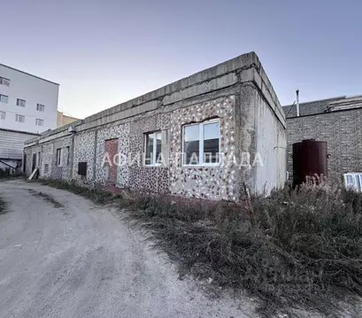 Помещение свободного назначения в Ямало-Ненецкий АО, Надым ул. Зверева ...