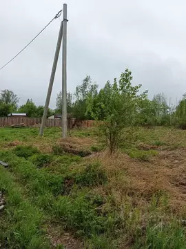 Участок в Красноярский край, Березовский район, Есаульский сельсовет  ...