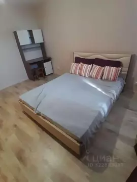 1-к кв. Красноярский край, Красноярск ул. Петра Подзолкова, 24 (46.0 ...