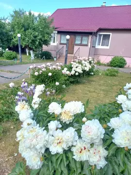 Дом в Калининградская область, Неманский муниципальный округ, пос. ...