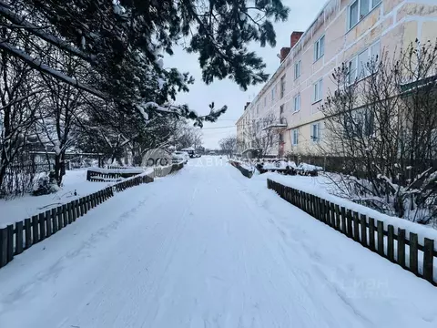2-к кв. Рязанская область, Рыбновский муниципальный округ, д. ...