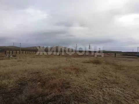 Участок в Забайкальский край, Борзя ул. 1-я Южная (9.0 сот.)