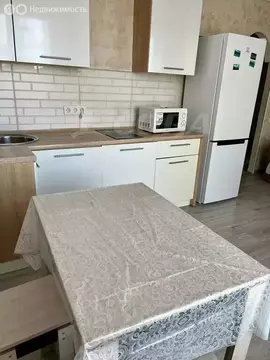 Квартира-студия: микрорайон Мелиораторов, улица Голышева, 24А (24.9 м)