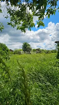 Участок в Марий Эл, Медведевский район, Пекшиксолинское с/пос, Ветеран ...