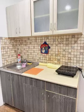 Студия Тюменская область, Тюмень ул. Новоселов, 117 (18.0 м)