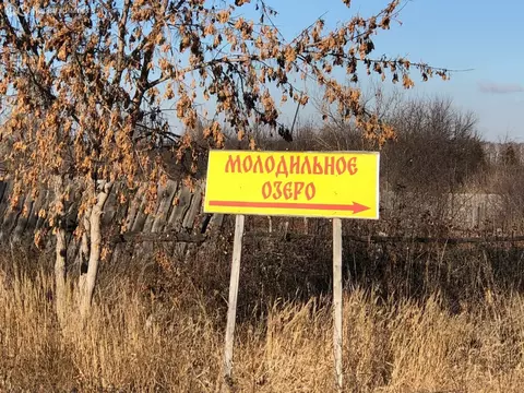 Участок в Челябинская область, Увельский муниципальный округ, село ...
