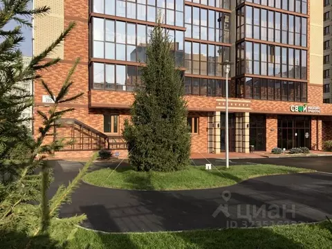 Студия Новосибирская область, Новосибирск ул. Гоголя, 205 (21.1 м)