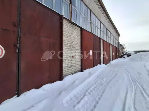 Помещение свободного назначения в Тюменская область, Тюмень ул. ...