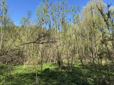 Участок в Алтай, Майминский район, Поселок филиал ул. Мелиораторов ...