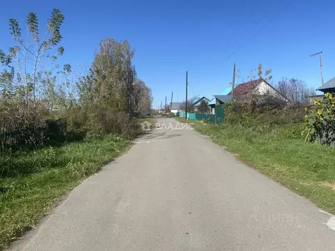 Участок в Алтайский край, Красногорский район, с. Березовка ул. ...