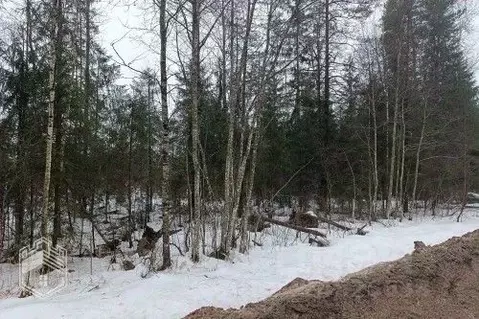 Участок в Новгородская область, Новгородский район, Савинское с/пос, ...