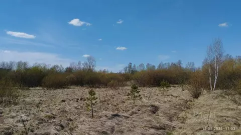 Участок в Свердловская область, Горноуральский муниципальный округ, с. ...