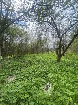 Дом в Ленинградская область, Кингисеппский район, Котельское с/пос, д. ...