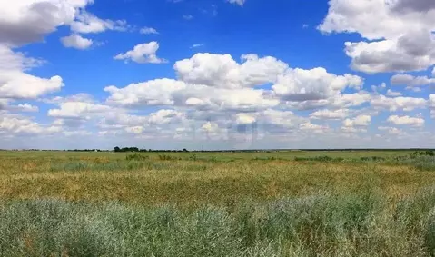 Участок в Волгоградская область, Светлоярский район, Червленовское ...