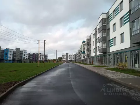 Торговая площадь в Ленинградская область, Гатчинский муниципальный ...