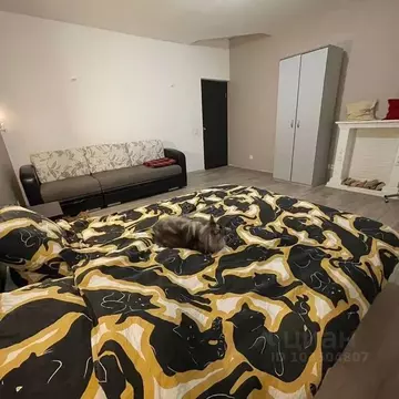 Комната Свердловская область, Екатеринбург ул. Мамина-Сибиряка, 132