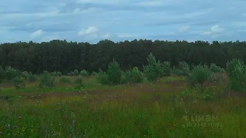 Участок в Калужская область, Тарусский район, Некрасово с/пос, д. ...