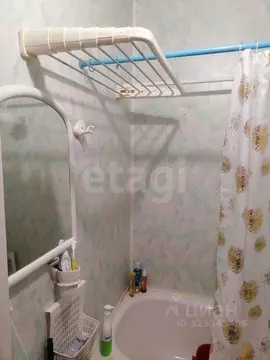 Студия Воронежская область, Воронеж Южно-Моравская ул., 35 (11.0 м)