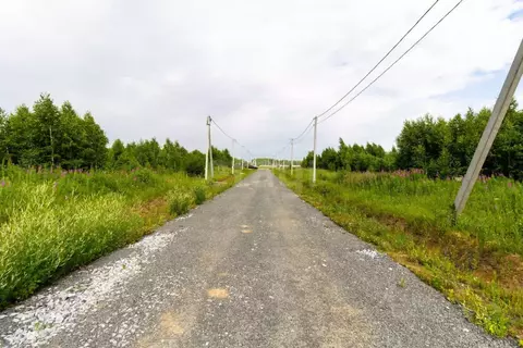 Участок в Тюменская область, Тюменский район, с. Кулига  (7.0 сот.)