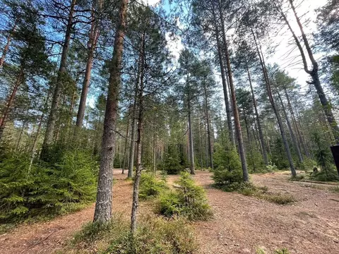 Участок в Ленинградская область, Выборгский район, Первомайское с/пос, ...