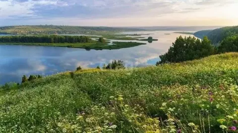 Участок в Пермский край, Пермский муниципальный округ, д. Малая ...