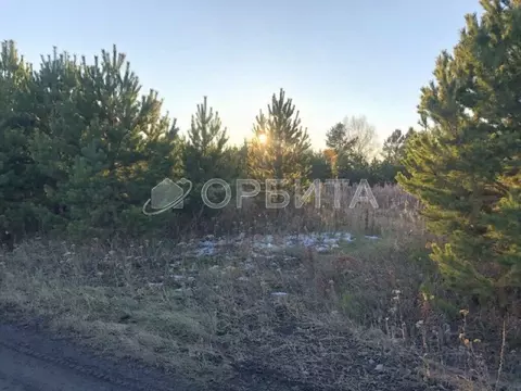 Участок в Тюменская область, Тюменский муниципальный округ, ...