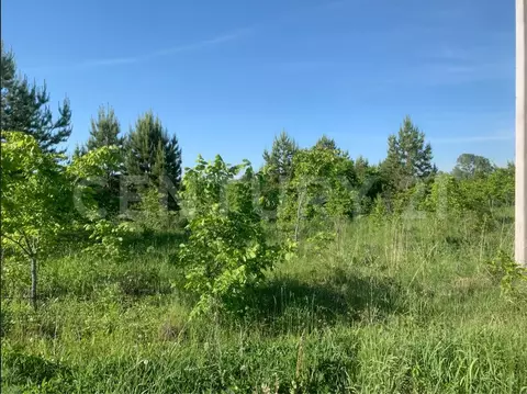 Участок в Башкортостан, Иглинский район, Акбердинский сельсовет, ...