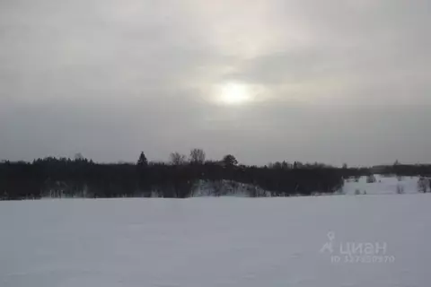 Участок в Московская область, Шаховская муниципальный округ, д. ...