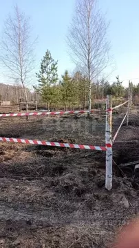 Участок в Татарстан, Зеленодольск Трудовик СНТ,  (5.0 сот.)