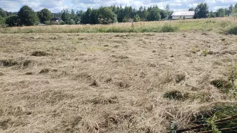 Участок в Московская область, Можайский муниципальный округ, д. ...