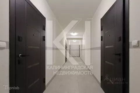 2-к кв. Калининградская область, Калининград ул. Сержанта Мишина, 83к2 ...
