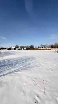 Участок в Приморский край, Уссурийский городской округ, с. Борисовка ...