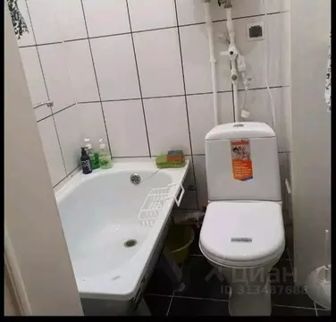 Студия Пензенская область, Нижний Ломов ул. Карла Маркса, 66 (22.0 м)