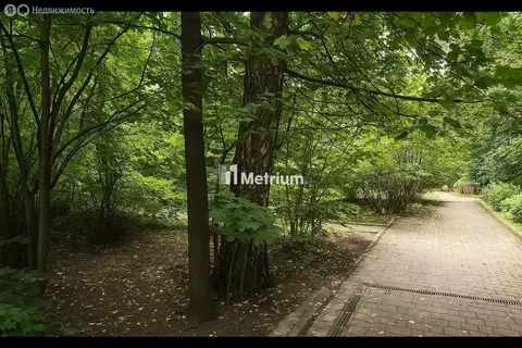 Участок в деревня Новодарьино, ДП Новодарьино РАН (24.2 м)