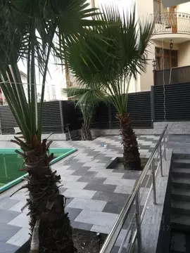 Студия Краснодарский край, Сочи Новый Сочи мкр, пер. Рахманинова, 23/2 ...