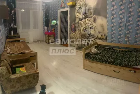 2-к кв. Московская область, Чехов муниципальный округ, д. Кулаково 93 ...