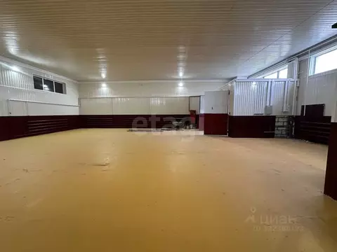 Помещение свободного назначения в Ямало-Ненецкий АО, Новый Уренгой ...