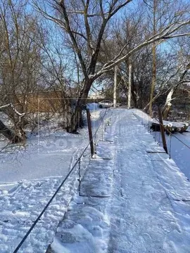Участок в Воронежская область, Новоусманский район, Орловское с/пос, ...