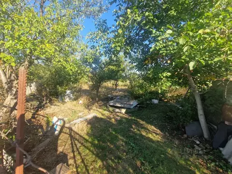 Участок в Краснодарский край, Армавир Заря Востока СНТ, проезд ...