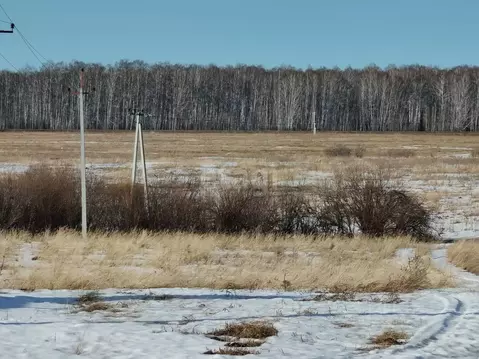 Участок в Курганская область, Шадринский муниципальный округ, с. Ключи ...