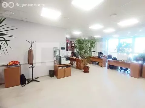 Офис (300.73 м)