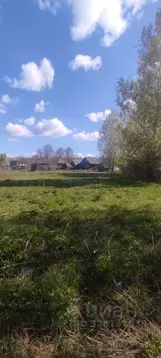 Участок в Нижегородская область, Городецкий муниципальный округ, д. ...