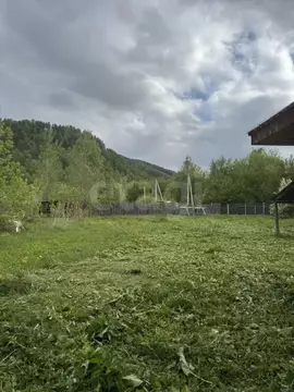 Участок в Алтай, Майминский район, Соузгинское с/пос, пос. Черемшанка ...