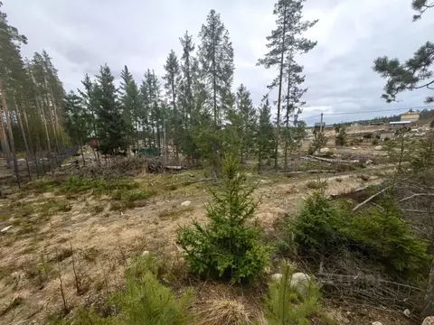 Участок в Ленинградская область, Выборгский район, Полянское с/пос, ...